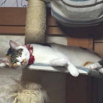 ワタルのトーク