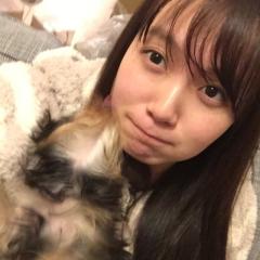 けーすけ⊿