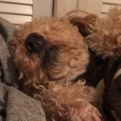 リトーク(＾ν＾)