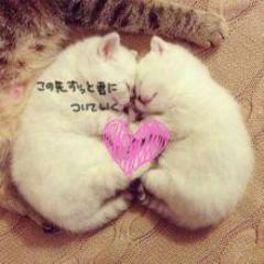 RUMIのトーク♥.｡.:*♡