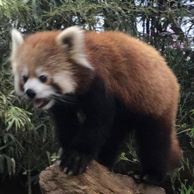 あすぃーる