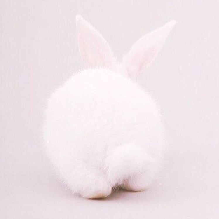 momo's talk room 🍑♡