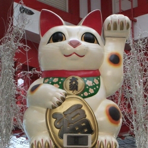 ねも