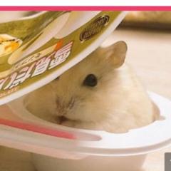 飛鳥時代