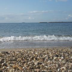 ヤシマさんのトーク