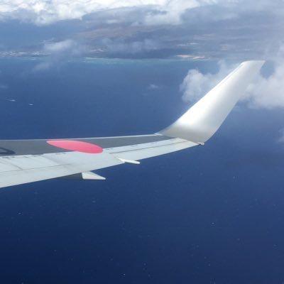 ANA B787 JA801Aのトーク