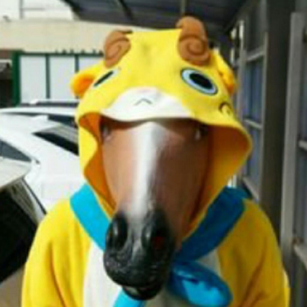 きっちん