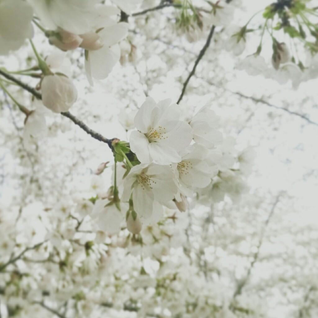 Ayunchannのトーク