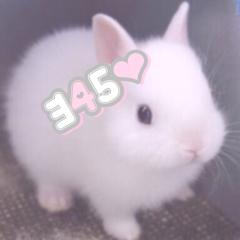 なな🐰