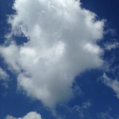 ☪︎⋆｡˚✩林檎*の独り言