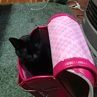 青木 ねね