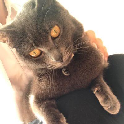 透生