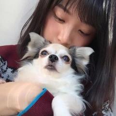しんた