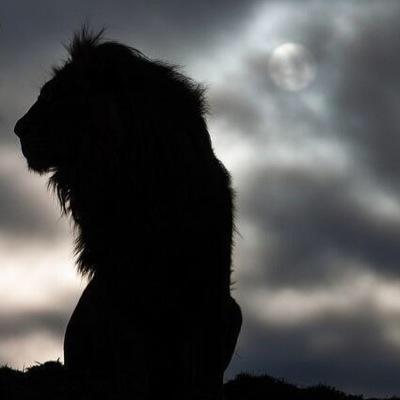 ゆう@majestyのトーク