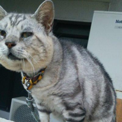 近藤 良のトーク