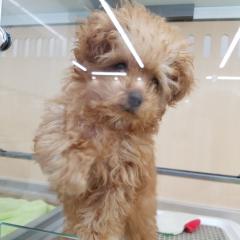 はるのモンスト部屋(´・ω・｀)