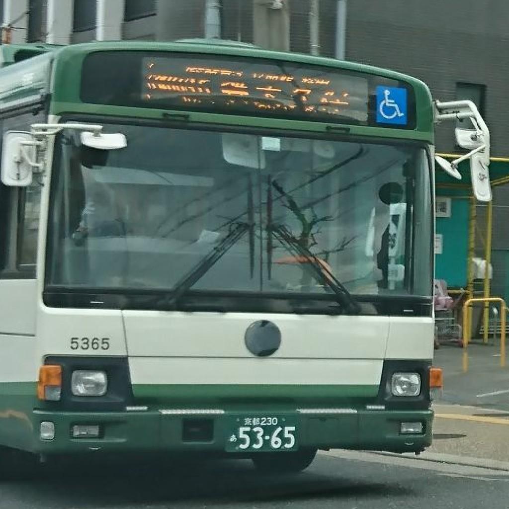 やちゅ☆彡