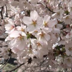 はるきのトーク