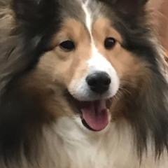 めるる