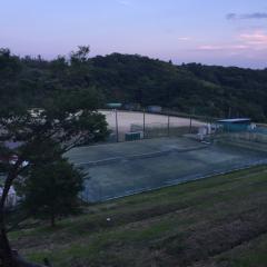 とりっぴー
