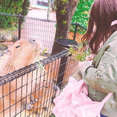 かれんのトーク