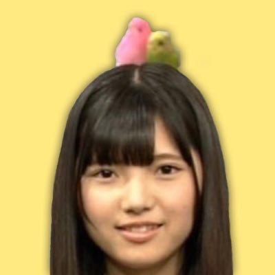 わさび⊿🐊