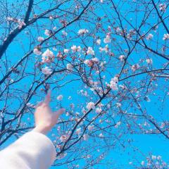 こーきのトーク