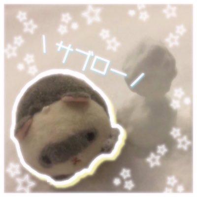 ぐでさんのトーク