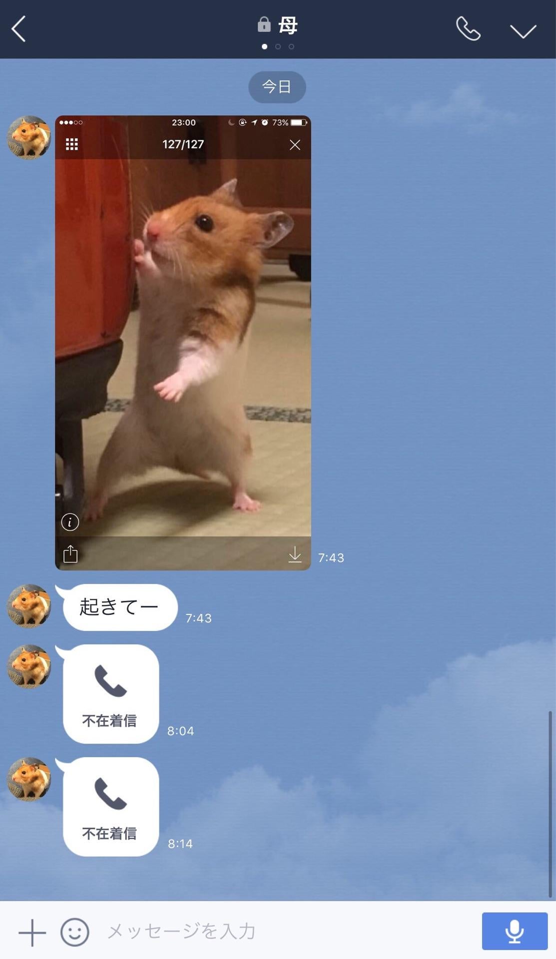 投稿画像
