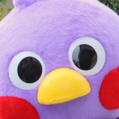 てんちょ〜