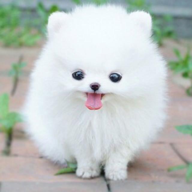 ミキチャン💖