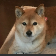 あき