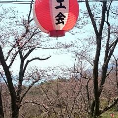 はじめまして！ よろしく(*^o^)／＼(^-^*)