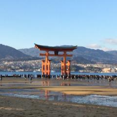 ゆってぃー🤠のトーク