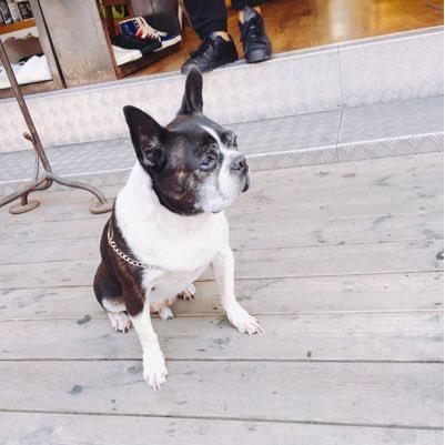 メイコのトーク