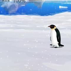 そうきゅう