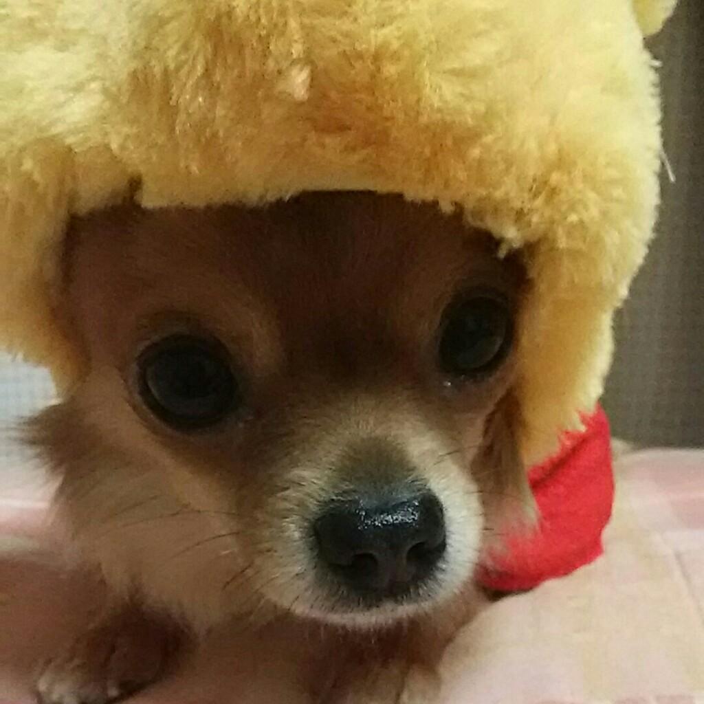 sachi❤