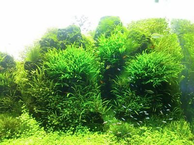 あきらMONAKAのトーク