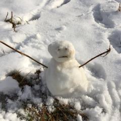 みっくじゃがいも