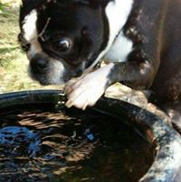 佐藤健一のトーク