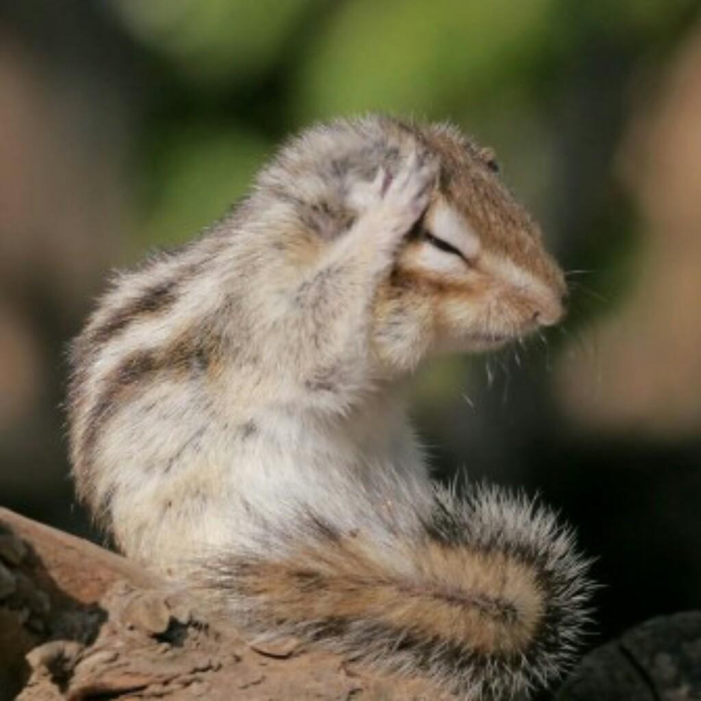 シマリストーク  気軽に