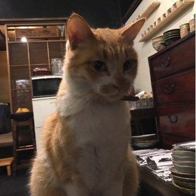 シーサアー⬆︎