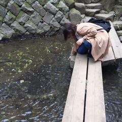 たまき