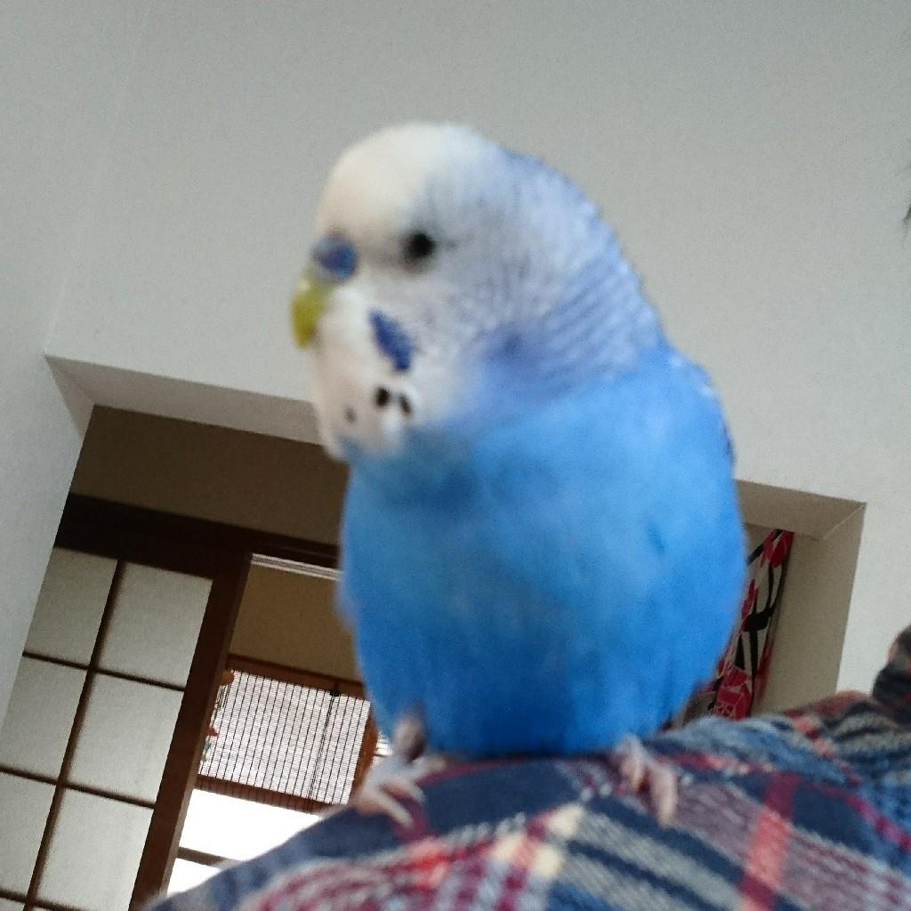 ちうみ(ただしオッサン)