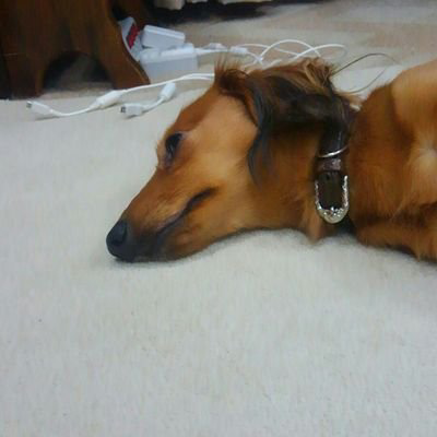 高田 洋のトーク