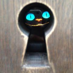 risa_028のトーク