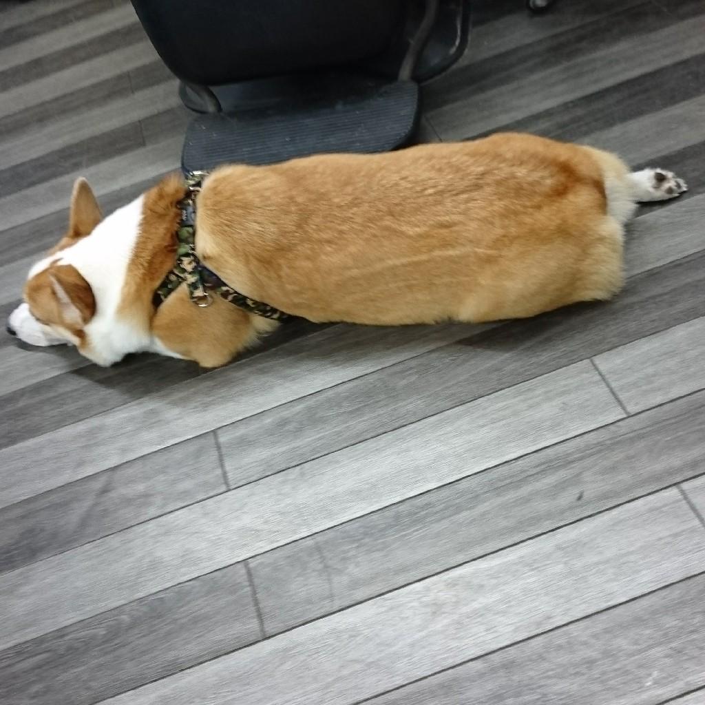 リエイ