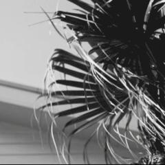 永遠の推しトーク