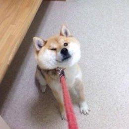 リンゴ🍓のトーク