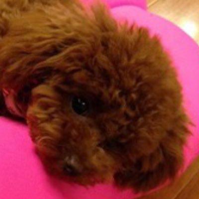 チャムなざわ🐶骨折治っ太郎
